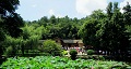 長(zhǎng)沙出發(fā)到花明樓、韶山、張家界國(guó)家森林公園、天門仙山國(guó)家森林公園四日游