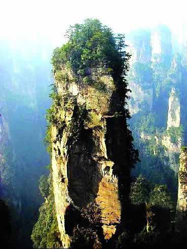 張家界國(guó)家地質(zhì)森林公園、黃石寨、金鞭溪休閑一日游